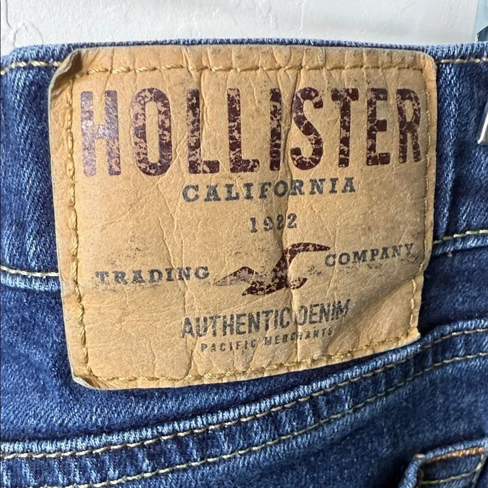 Hollister sleek modern
